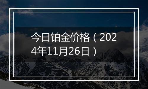 今日铂金价格（2024年11月26日）