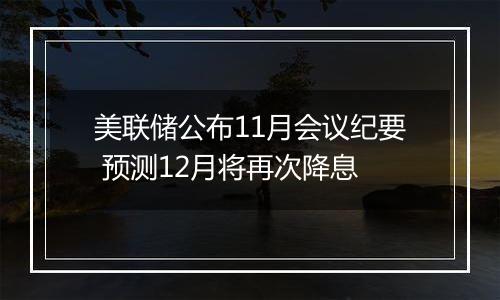 美联储公布11月会议纪要 预测12月将再次降息