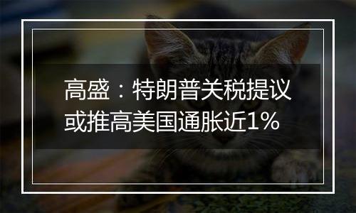 高盛：特朗普关税提议或推高美国通胀近1%