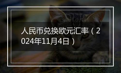 人民币兑换欧元汇率（2024年11月4日）