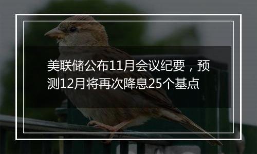 美联储公布11月会议纪要，预测12月将再次降息25个基点