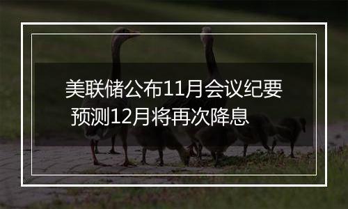 美联储公布11月会议纪要 预测12月将再次降息