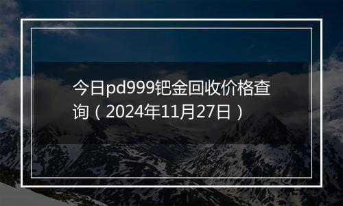 今日pd999钯金回收价格查询（2024年11月27日）