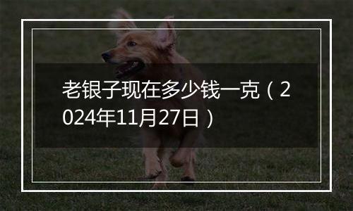 老银子现在多少钱一克（2024年11月27日）