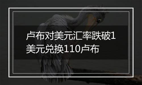 卢布对美元汇率跌破1美元兑换110卢布