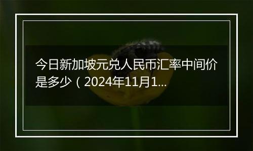 今日新加坡元兑人民币汇率中间价是多少（2024年11月1日）