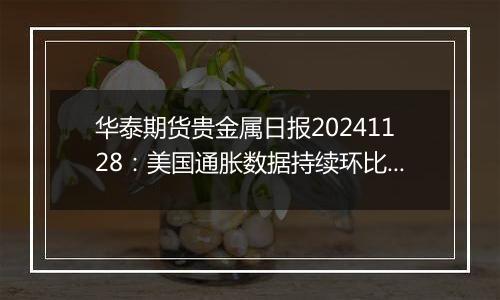 华泰期货贵金属日报20241128：美国通胀数据持续环比上升