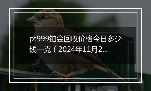 pt999铂金回收价格今日多少钱一克（2024年11月28日）