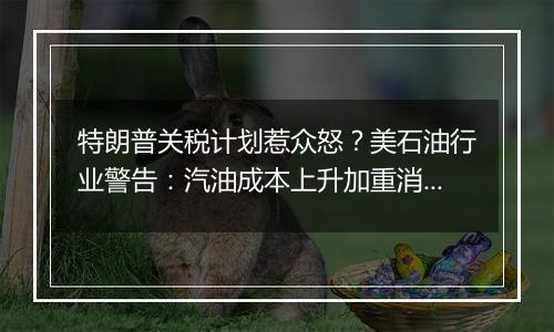 特朗普关税计划惹众怒？美石油行业警告：汽油成本上升加重消费者负担