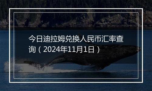 今日迪拉姆兑换人民币汇率查询（2024年11月1日）