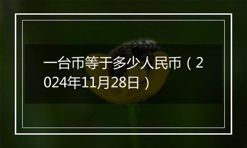 一台币等于多少人民币（2024年11月28日）