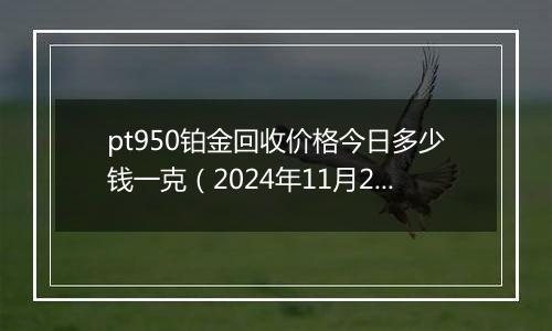 pt950铂金回收价格今日多少钱一克（2024年11月28日）