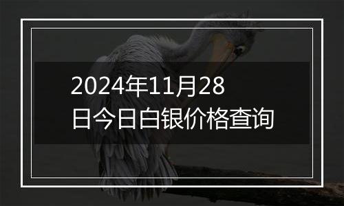 2024年11月28日今日白银价格查询