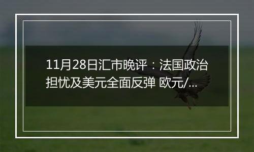 11月28日汇市晚评：法国政治担忧及美元全面反弹 欧元/美元跌破1.0550