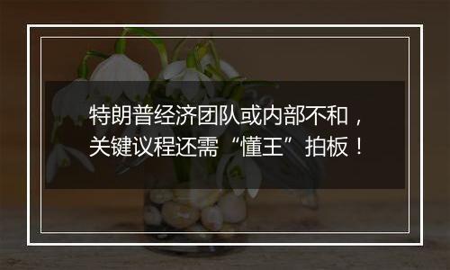 特朗普经济团队或内部不和，关键议程还需“懂王”拍板！