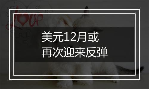 美元12月或再次迎来反弹