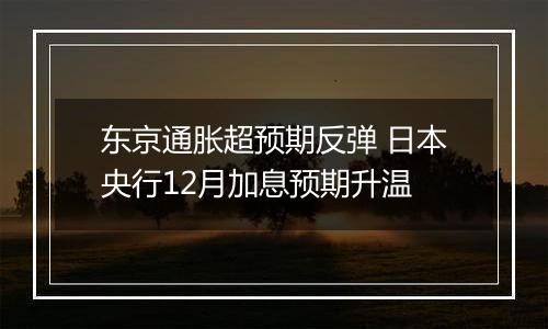 东京通胀超预期反弹 日本央行12月加息预期升温