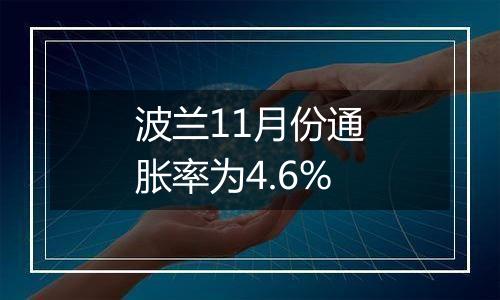 波兰11月份通胀率为4.6%