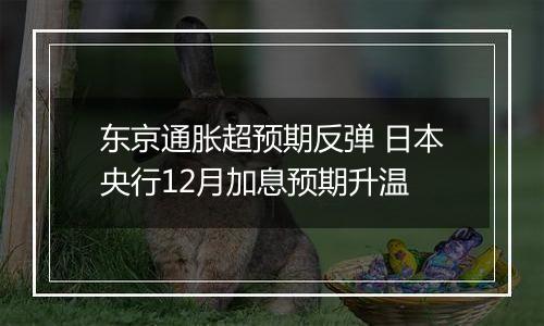 东京通胀超预期反弹 日本央行12月加息预期升温