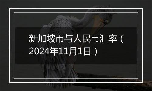 新加坡币与人民币汇率（2024年11月1日）