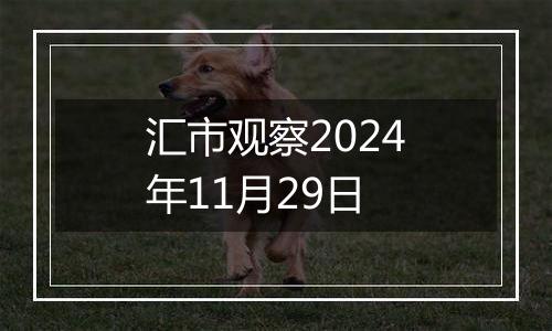 汇市观察2024年11月29日