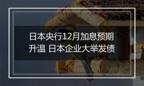 日本央行12月加息预期升温 日本企业大举发债