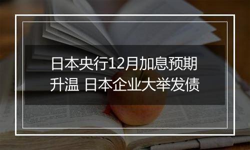 日本央行12月加息预期升温 日本企业大举发债