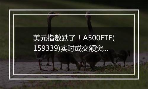 美元指数跌了！A500ETF(159339)实时成交额突破6亿元，午后溢价交易频现。