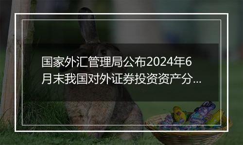 国家外汇管理局公布2024年6月末我国对外证券投资资产分国家/地区及分居民持有者部门数据