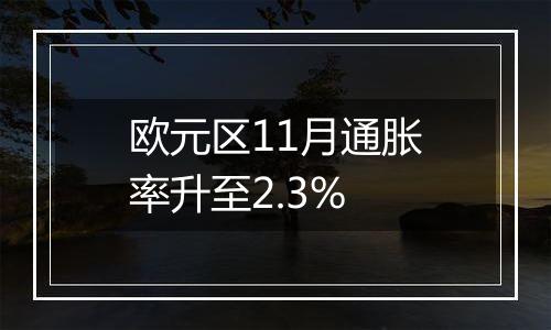 欧元区11月通胀率升至2.3%