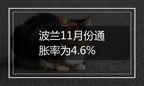 波兰11月份通胀率为4.6%