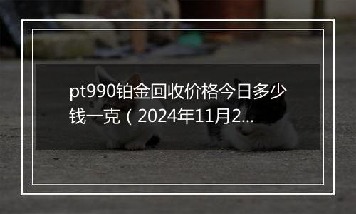 pt990铂金回收价格今日多少钱一克（2024年11月29日）