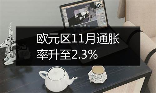 欧元区11月通胀率升至2.3%