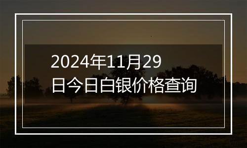 2024年11月29日今日白银价格查询