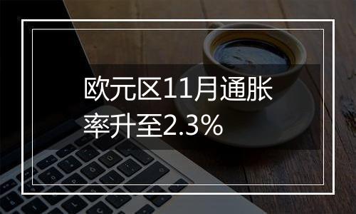 欧元区11月通胀率升至2.3%