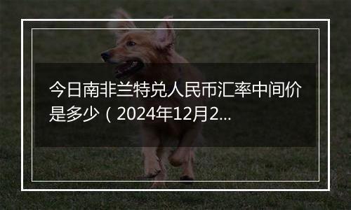 今日南非兰特兑人民币汇率中间价是多少（2024年12月2日）