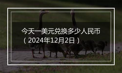 今天一美元兑换多少人民币（2024年12月2日）