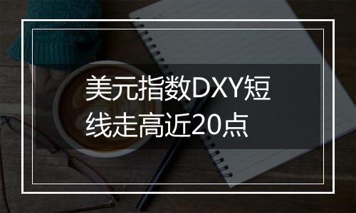 美元指数DXY短线走高近20点