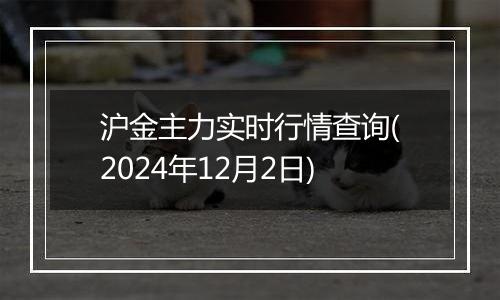 沪金主力实时行情查询(2024年12月2日)