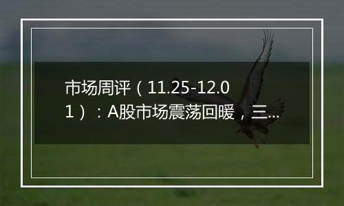 市场周评（11.25-12.01）：A股市场震荡回暖，三大指数全线上涨