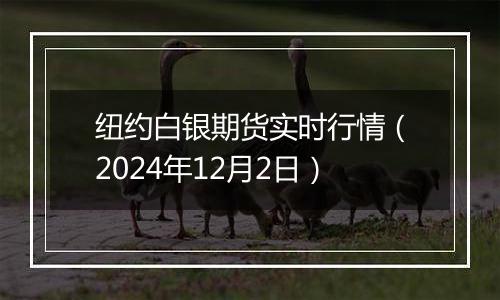 纽约白银期货实时行情（2024年12月2日）