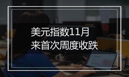 美元指数11月来首次周度收跌