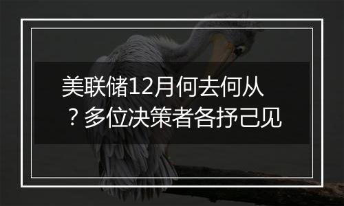 美联储12月何去何从？多位决策者各抒己见