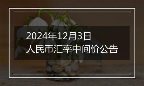 2024年12月3日人民币汇率中间价公告