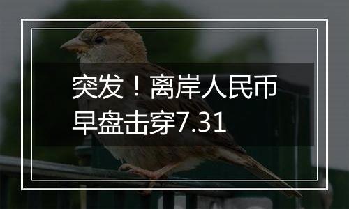 突发！离岸人民币早盘击穿7.31