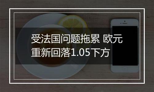 受法国问题拖累 欧元重新回落1.05下方