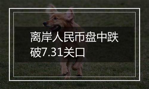 离岸人民币盘中跌破7.31关口