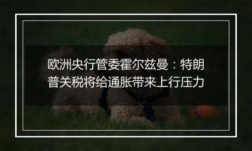 欧洲央行管委霍尔兹曼：特朗普关税将给通胀带来上行压力