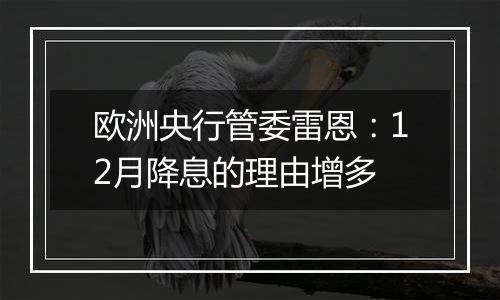 欧洲央行管委雷恩：12月降息的理由增多