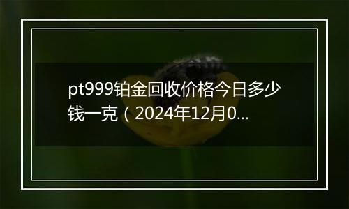 pt999铂金回收价格今日多少钱一克（2024年12月04日）